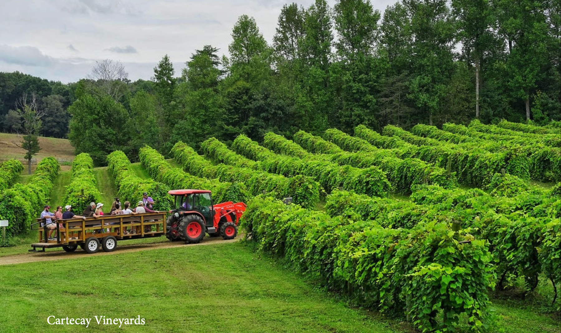 Tractor Ride in Apple Orchard
