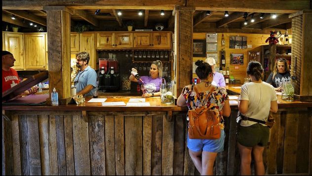 Cider Tasting