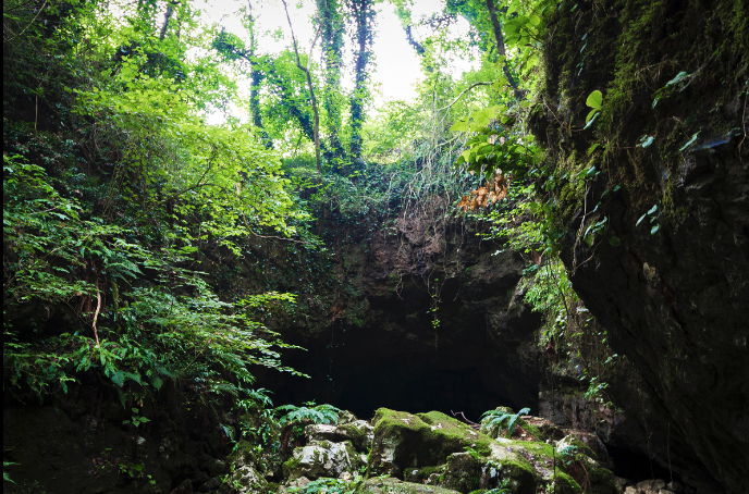 Georgia Cave